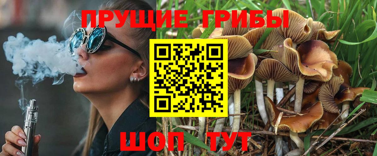 Грозный  Псилоцибиновые грибы Psilocybe  Вход с VPN  купить  сайты  Галлюциногенные грибы Magic Shrooms 